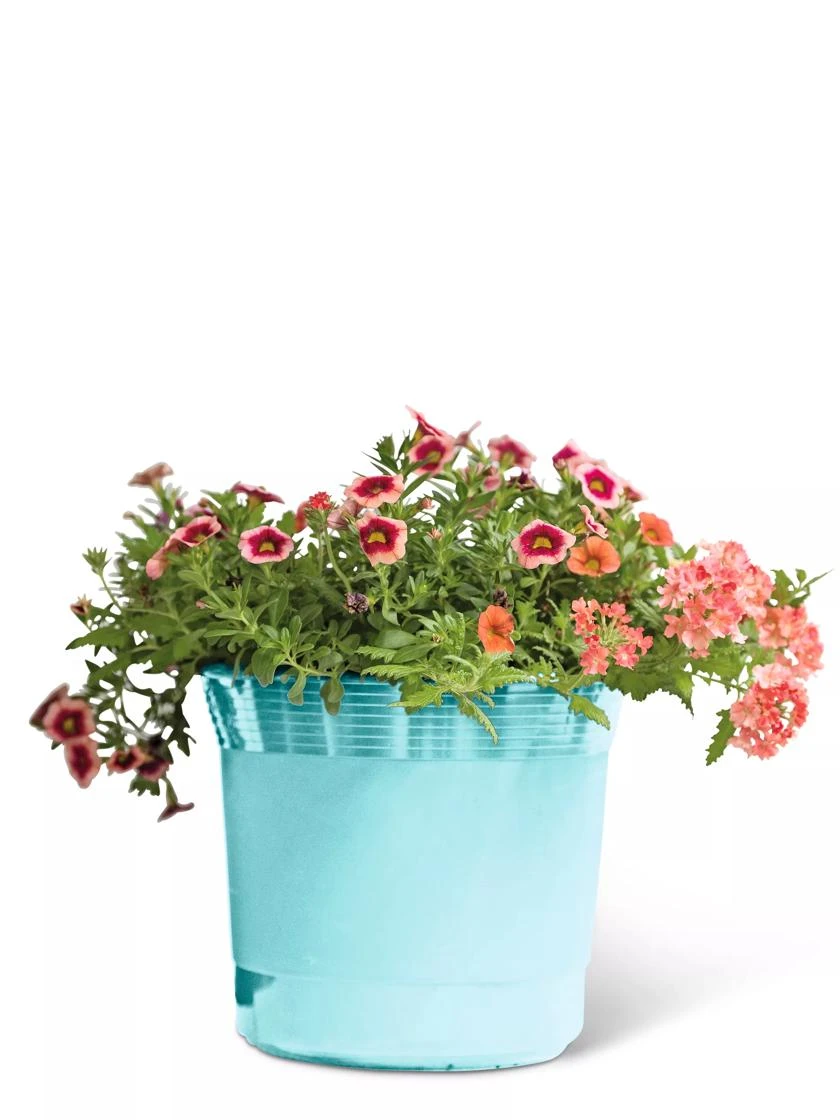 Eezy Gro Self-Watering Planters Eezy Gro Self-Watering Planters -Gardene Supply Sales 8596426 103 tif