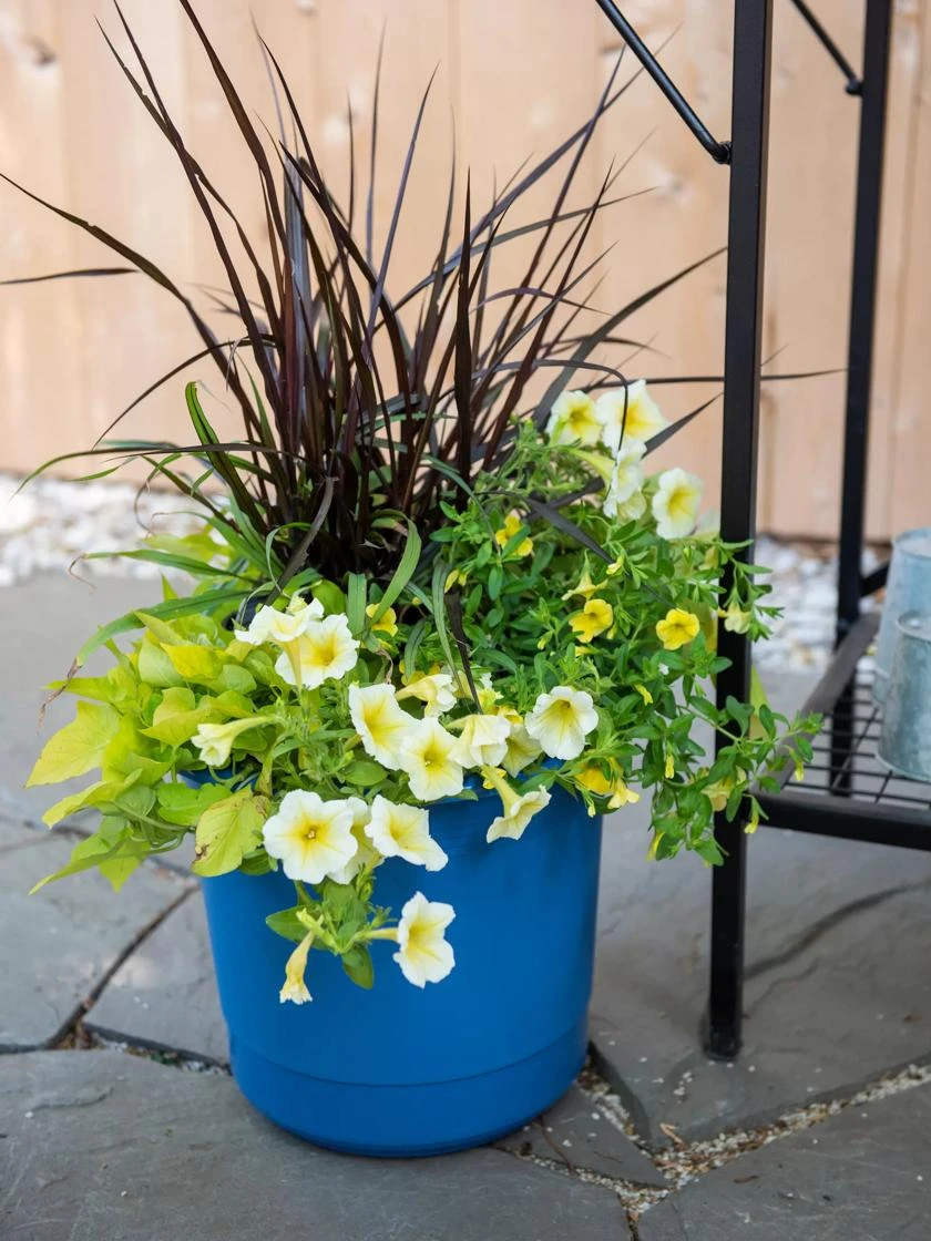 Eezy Gro Self-Watering Planters Eezy Gro Self-Watering Planters -Gardene Supply Sales 8596427 0035 tif