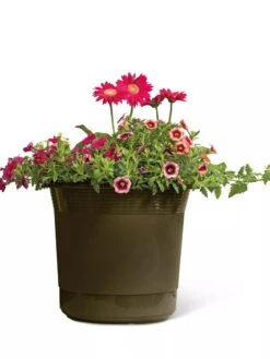 Eezy Gro Self-Watering Planters 3 Eezy Gro Self-Watering Planters -Gardene Supply Sales 8596427 108 tif