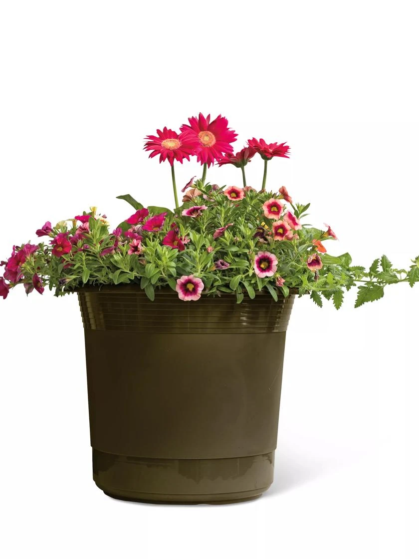 Eezy Gro Self-Watering Planters Eezy Gro Self-Watering Planters -Gardene Supply Sales 8596427 108 tif