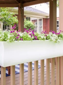 Valencia Window Box, 4' -Gardene Supply Sales 8596437 006V tif