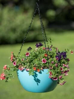 Viva Self-Watering Hanging Basket, 14" Diameter -Gardene Supply Sales 8596442 0859 tif