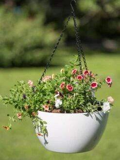 Viva Self-Watering Hanging Basket, 14" Diameter -Gardene Supply Sales 8596442 0864 tif