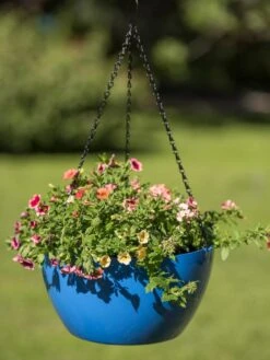 Viva Self-Watering Hanging Basket, 14" Diameter -Gardene Supply Sales 8596442 0876 tif