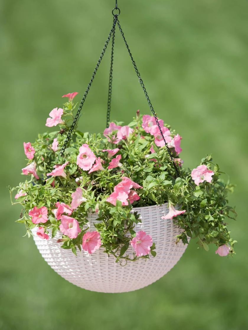 Weave Self-Watering Hanging Basket, 14" Weave Self-Watering Hanging Basket, 14" -Gardene Supply Sales 8596490 10304 tif