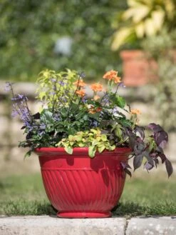 Mazzano Self-Watering Planters -Gardene Supply Sales 8596564 4883 tif