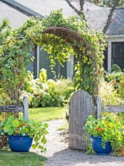 Featured Products -Gardene Supply Sales 8596570 10231 tif