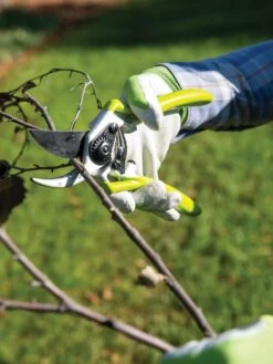 Gardener's Pro Pruner #2 -Gardene Supply Sales 8596605 032 tif