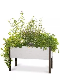 Eco-Stained Elevated Planter Box, 2'x4' -Gardene Supply Sales 8596759 3837 tif