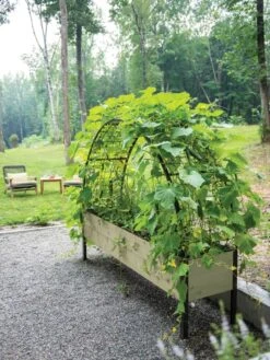 Self-Watering Elevated Planter Box, 2' X 8' -Gardene Supply Sales 8596760 0046 tif