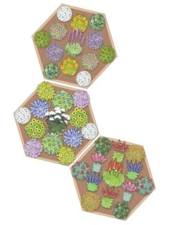 Pollinator Garden Bed -Gardene Supply Sales 8597000 Hummingbird Plan tif