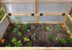 Garden In A Box Cedar Raised Bed With Greenhouse, 3' X 6' -Gardene Supply Sales 8597082 03V tif