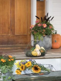 Galvanized Rim Planters 3 Galvanized Rim Planters -Gardene Supply Sales 8597379 1625 tif