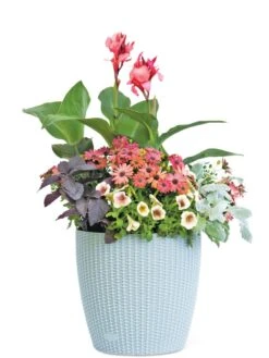 Weave Self-Watering Round Planter, 14" -Gardene Supply Sales 8597388 2175 tif
