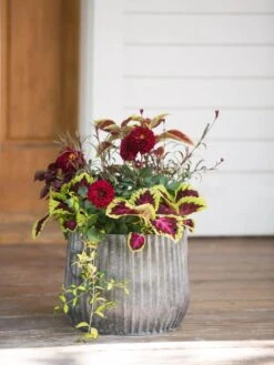 Galvanized Ribbed Planters -Gardene Supply Sales 8597435 1693 tif