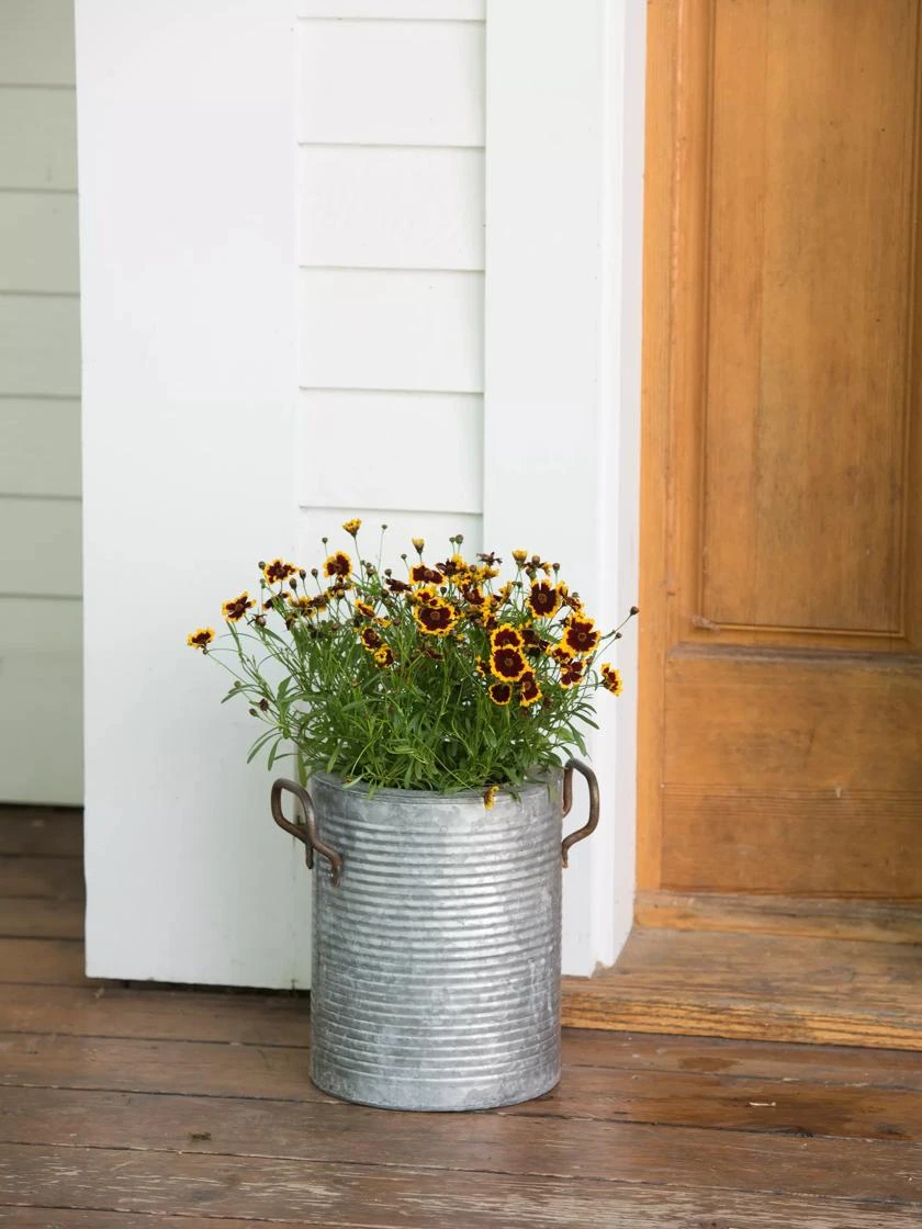 Galvanized Rim Planters Galvanized Rim Planters -Gardene Supply Sales 8597442 1709 tif
