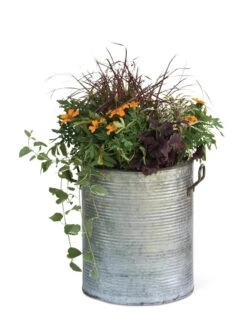 Galvanized Rim Planters 5 Galvanized Rim Planters -Gardene Supply Sales 8597443 1704 tif