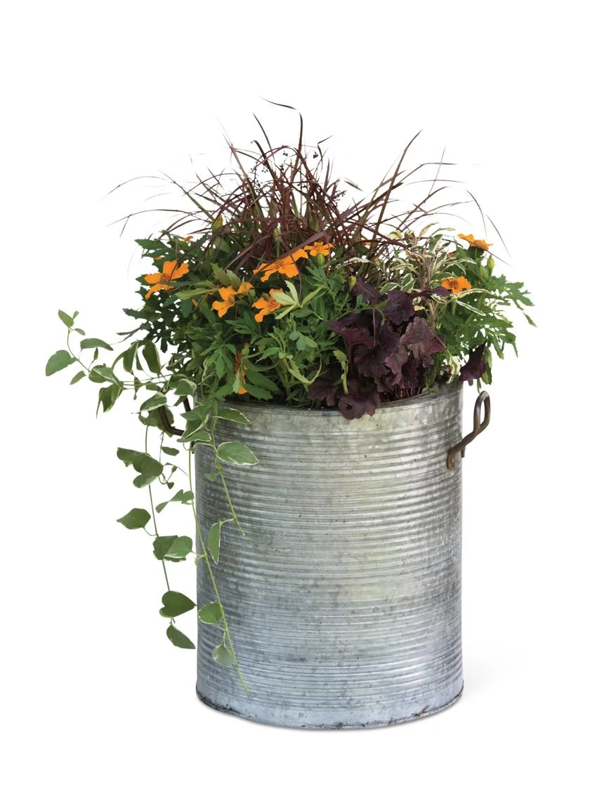 Galvanized Rim Planters Galvanized Rim Planters -Gardene Supply Sales 8597443 1704 tif