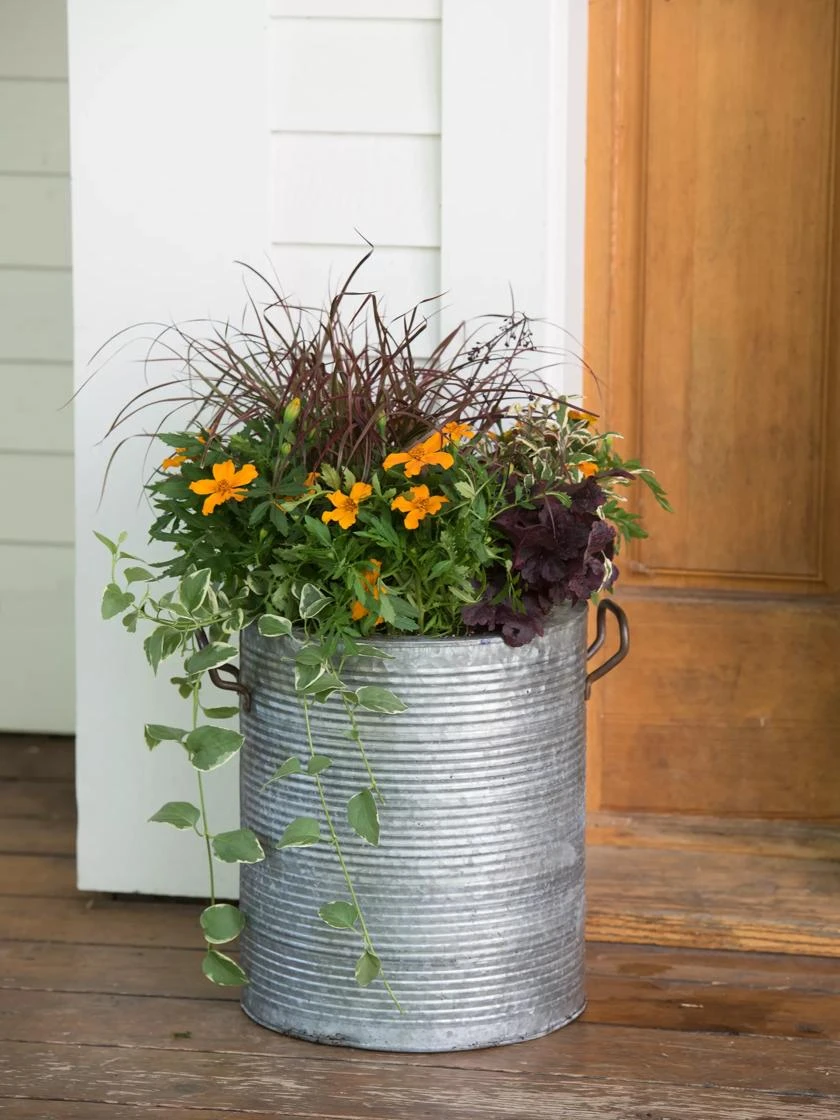 Galvanized Rim Planters Galvanized Rim Planters -Gardene Supply Sales 8597443 1708 tif