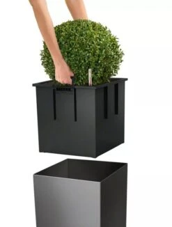 Lechuza® Cube Premium Planters -Gardene Supply Sales 8597506 04V tif