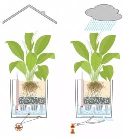 Lechuza® Cube Premium Planters -Gardene Supply Sales 8597506 05V tif