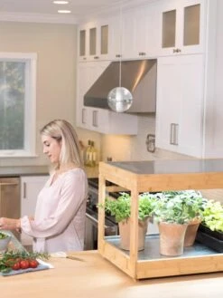 Low Bamboo LED Grow Light Garden -Gardene Supply Sales 8597720 0816 tif