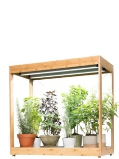 Medium Bamboo LED Grow Light Garden 9 Medium Bamboo LED Grow Light Garden -Gardene Supply Sales 8597883 1011 tif