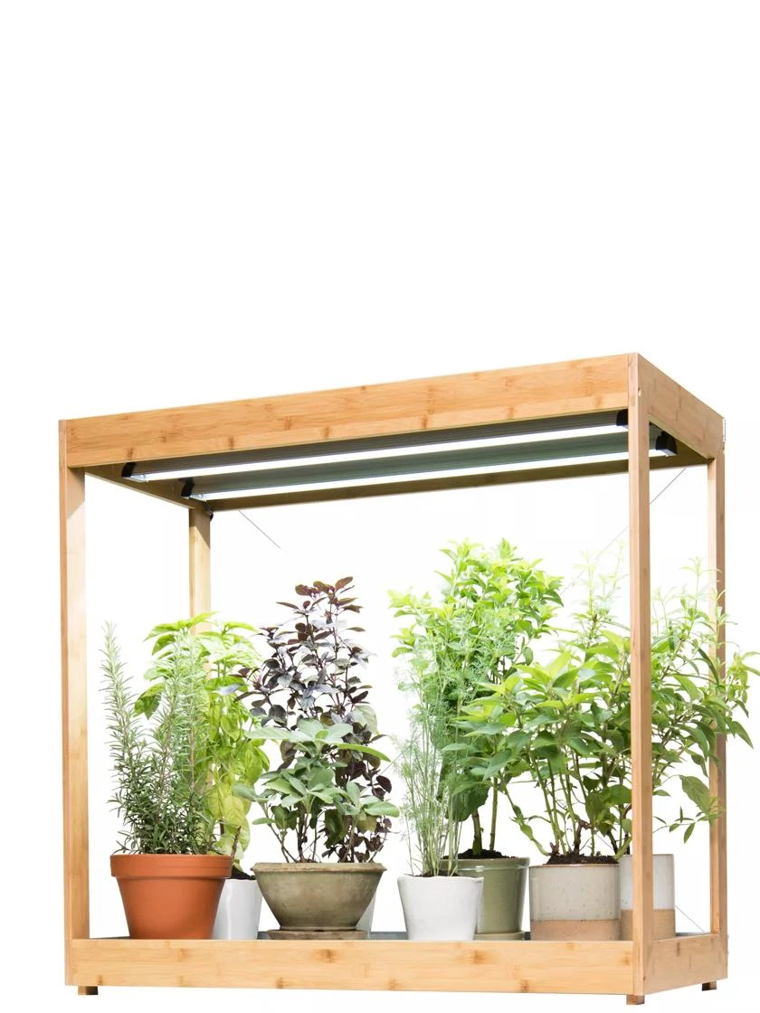 Medium Bamboo LED Grow Light Garden Medium Bamboo LED Grow Light Garden -Gardene Supply Sales 8597883 1011 tif
