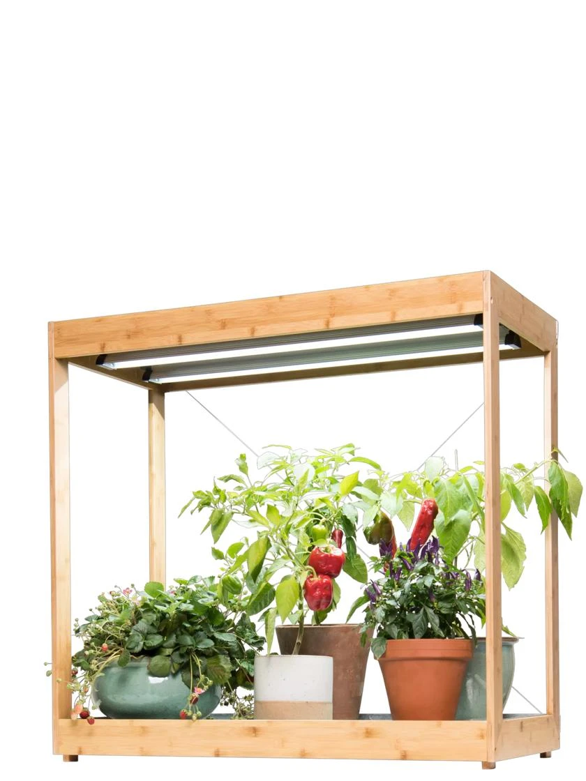 Medium Bamboo LED Grow Light Garden Medium Bamboo LED Grow Light Garden -Gardene Supply Sales 8597883 1013 tif