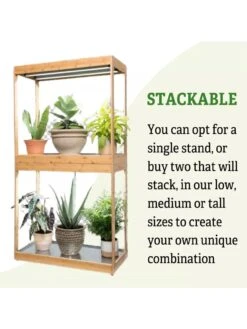 Medium Bamboo LED Grow Light Garden 4 Medium Bamboo LED Grow Light Garden -Gardene Supply Sales 8597883 6