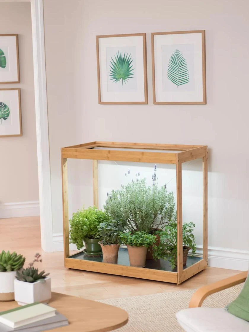 Medium Bamboo LED Grow Light Garden Medium Bamboo LED Grow Light Garden -Gardene Supply Sales 8597883 9271 tif