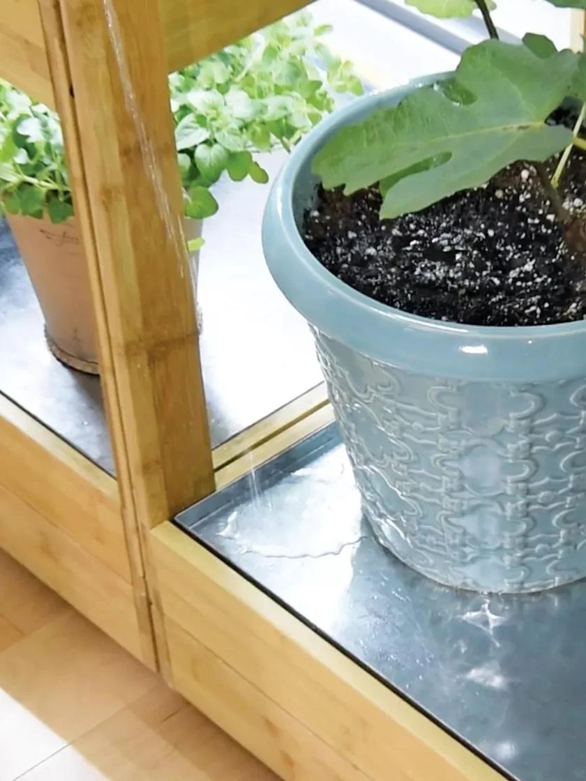 Galvanized Tray for Bamboo LED Grow Light Gardens Galvanized Tray For Bamboo LED Grow Light Gardens -Gardene Supply Sales 8597905 4877 tif