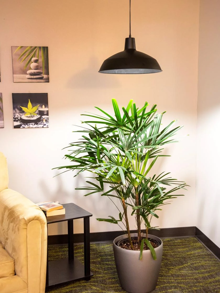 Barnyard Pendant LED Grow Light Barnyard Pendant LED Grow Light -Gardene Supply Sales 8598025 0256