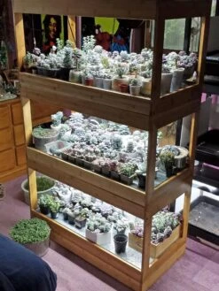 Bamboo LED Grow Light Garden For Succulents And Seeds -Gardene Supply Sales 8598084 01CUST tif