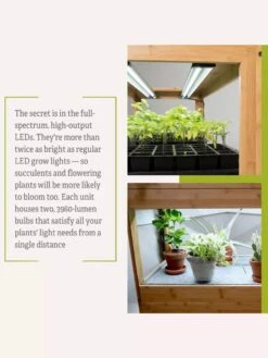 Bamboo LED Grow Light Garden For Succulents And Seeds -Gardene Supply Sales 8598084 7