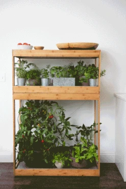 Bamboo Home LED Grow Light Garden -Gardene Supply Sales 8598088 BambooLEDHomeGarden light gif