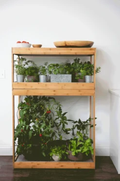 Bamboo Home LED Grow Light Garden 4 Bamboo Home LED Grow Light Garden -Gardene Supply Sales 8598088 BambooLEDHomeGarden light gif scaled