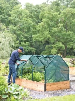 3-Season Plant Protection Tent, 4' X 8' 3 3-Season Plant Protection Tent, 4' X 8' -Gardene Supply Sales 8598282 0101 tif