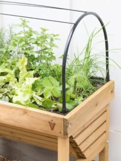 VegTrug® Mini Wallhugger Planter With Cover -Gardene Supply Sales 8598339 4004 tif