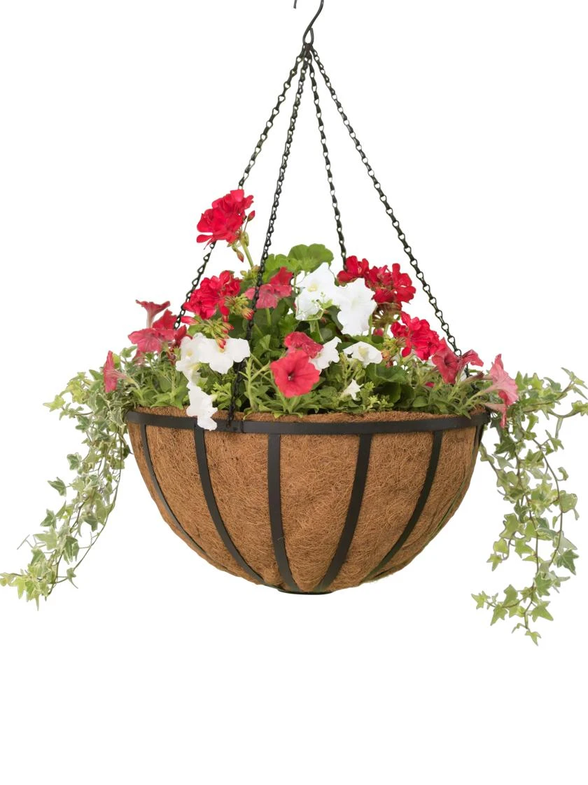 AquaSav™ Oxford Hanging Basket, 20" AquaSav™ Oxford Hanging Basket, 20" -Gardene Supply Sales 8598380 0100 tif