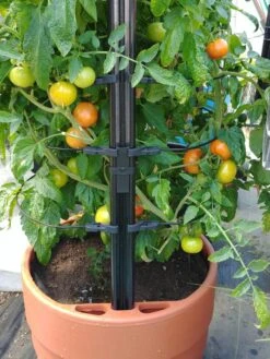 Gardener’s Victory Self-Watering Planter With Support System -Gardene Supply Sales 8598384 01EMP tif