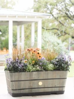 VegTrug™ Trough Planters 6 VegTrug™ Trough Planters -Gardene Supply Sales 8598402 08880 tif