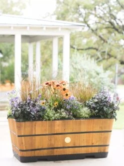 VegTrug™ Trough Planters 4 VegTrug™ Trough Planters -Gardene Supply Sales 8598402 8880 tif