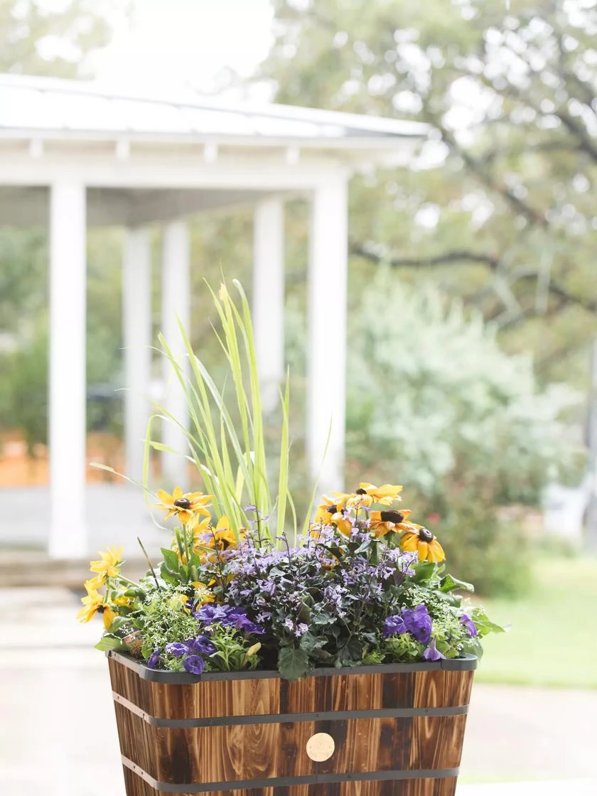 VegTrug™ Trough Planters VegTrug™ Trough Planters -Gardene Supply Sales 8598403 008876 tif