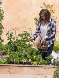 Gardener's Vertex Lifetime Tomato Cage -Gardene Supply Sales 8598426 0026 tif