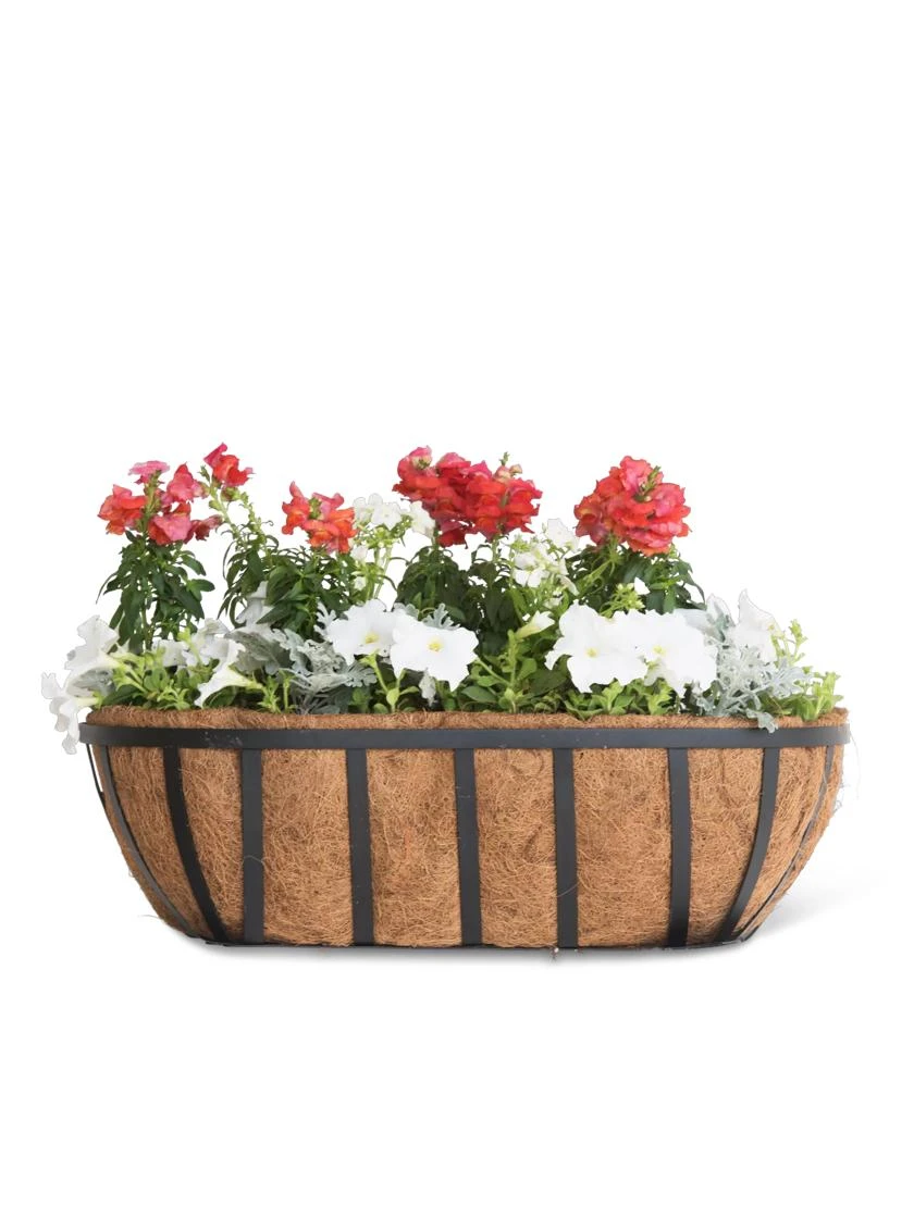 AquaSave™ Oxford Window and Deck Planters AquaSave™ Oxford Window And Deck Planters -Gardene Supply Sales 8598626 8809 tif