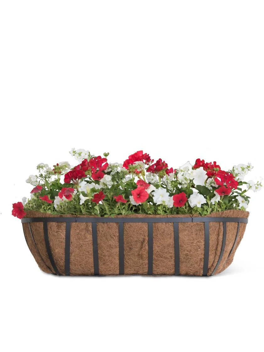 AquaSave™ Oxford Window and Deck Planters AquaSave™ Oxford Window And Deck Planters -Gardene Supply Sales 8598628 1000 tif