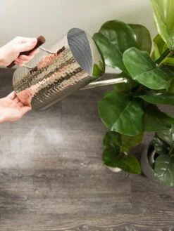 Stainless Steel Watering Can -Gardene Supply Sales 8599057 14322 tif