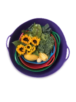 Colorful Tubtrug, 3-1/2 Gallon -Gardene Supply Sales 8599088 20GalTubTrug gif 1