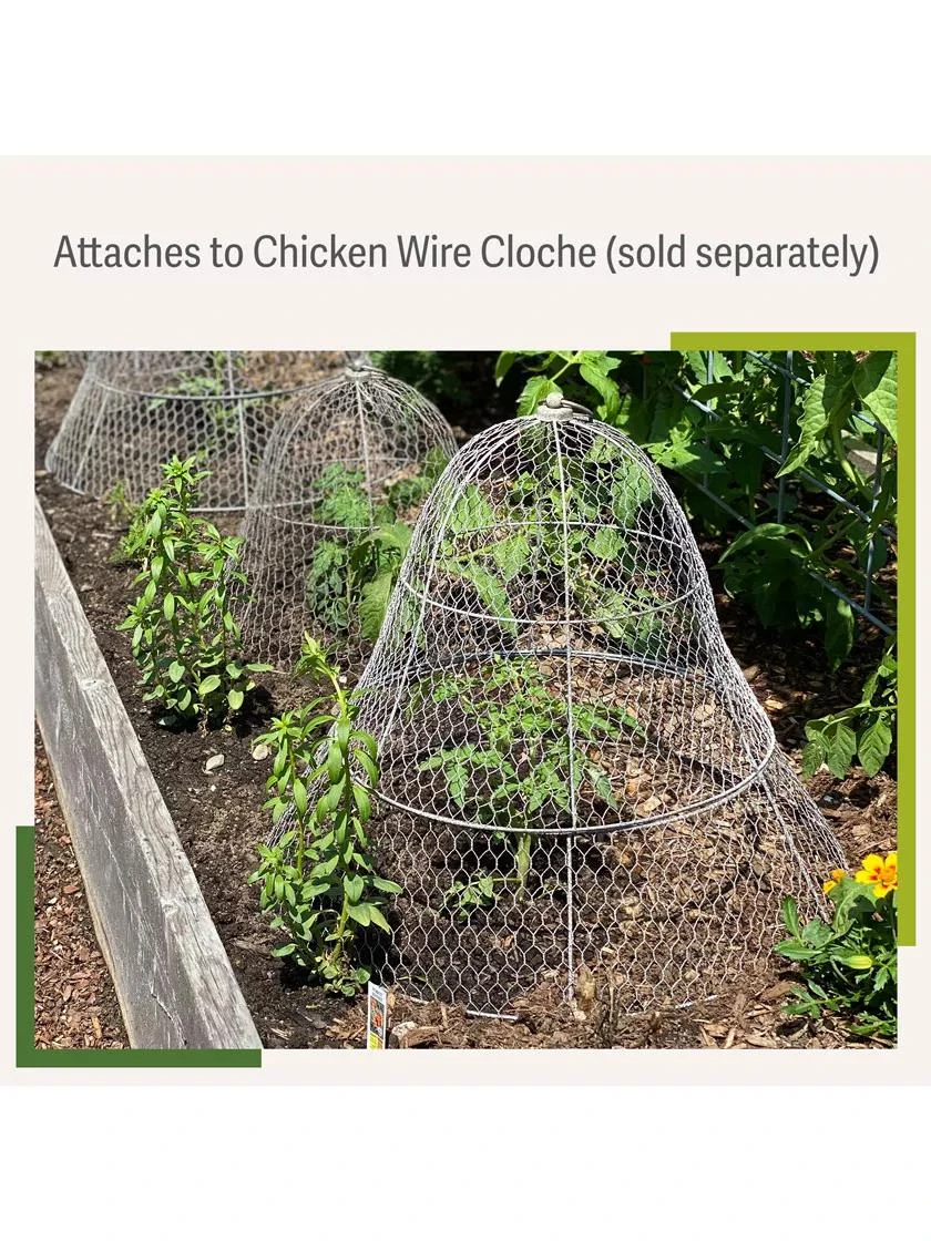 Chicken Wire Cloche Extension Chicken Wire Cloche Extension -Gardene Supply Sales 8599107 2